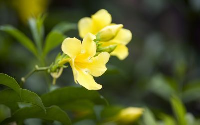 二零二五年第三季會訊