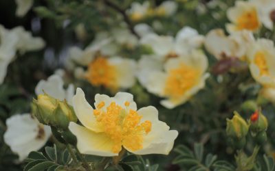 二零二五年第四季會訊